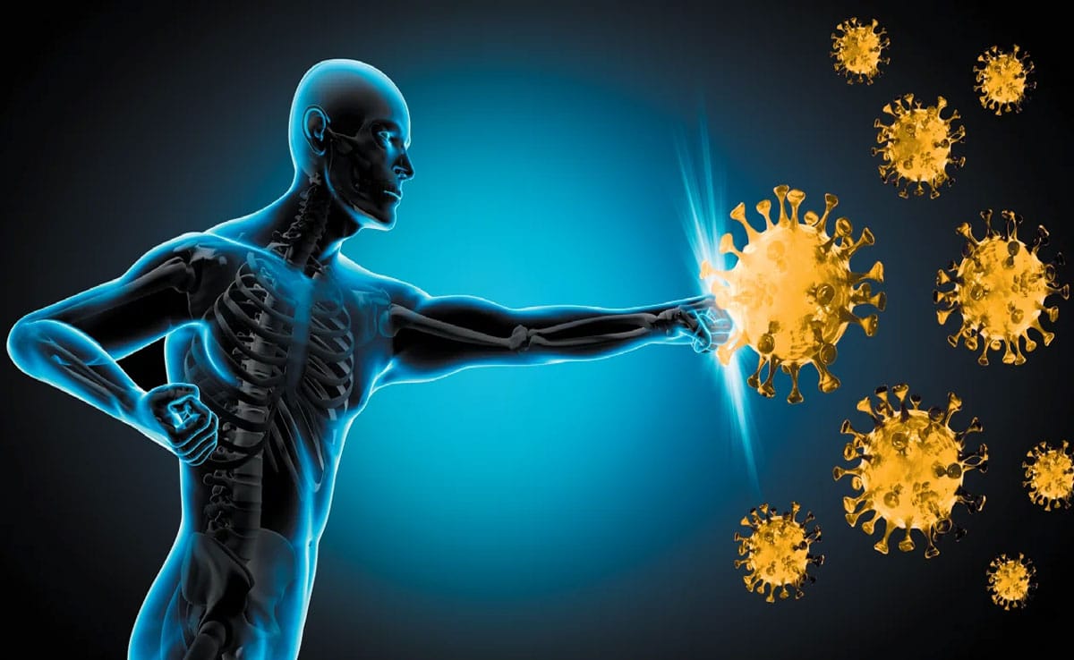 Drinking white pumpkin juice on an empty stomach can cure these 5 health problems