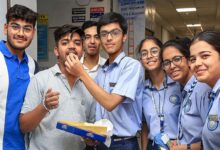 CBSE 2025 Results: How to download 10th, 12th marksheets apart from official website? Know details here