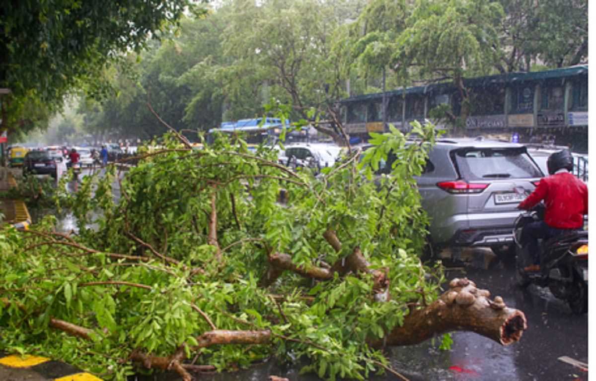 Heavy storm in Pakistan's Punjab province