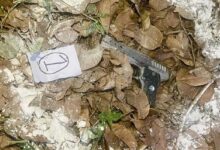 ISI-backed Khalistan terror module busted in Punjab