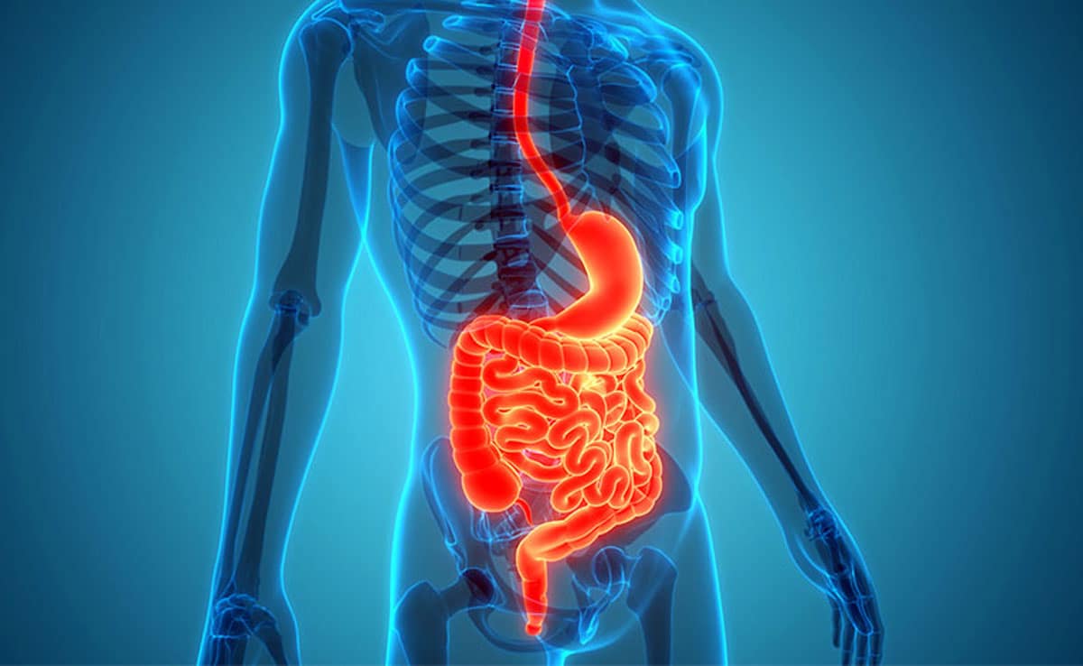 Drinking white pumpkin juice on an empty stomach can cure these 5 health problems