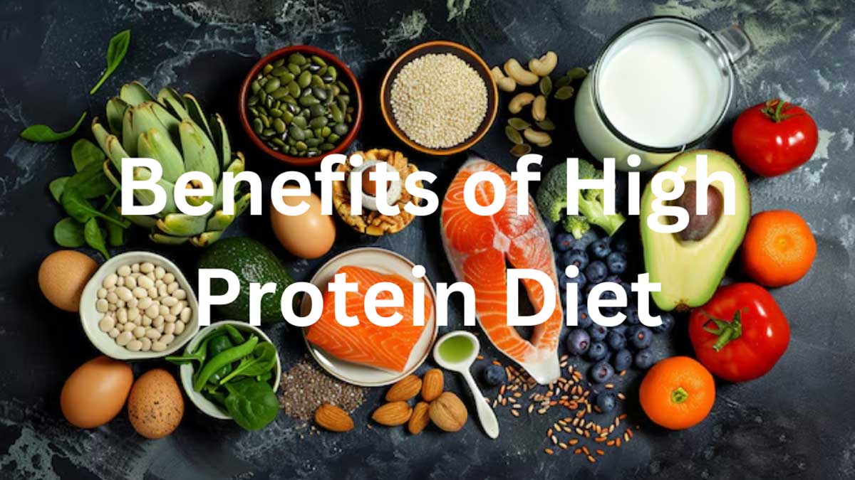 Protein-Rich Diet: The Key to a Healthy