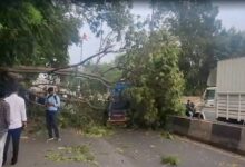 Gujarat: 14 people died due to lightning and heavy rain, IMD released